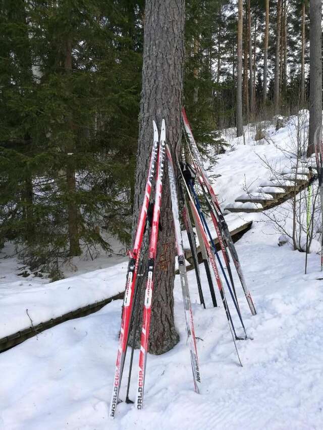 Шале Tervalepikon Torpat Сюсмя-17