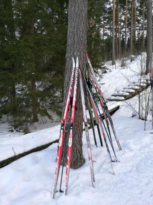 Шале Tervalepikon Torpat Сюсмя-95